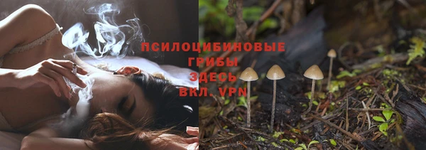 крисы Елабуга