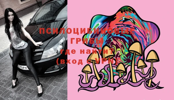 прущие крисы Ельня