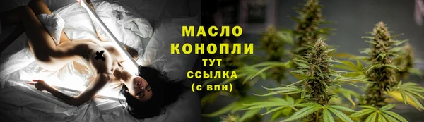 винт Елизово