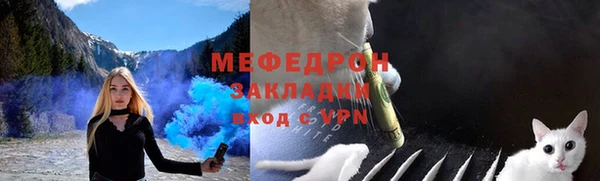 крисы Елабуга