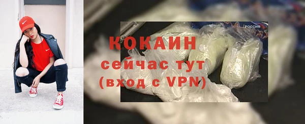 крисы Елабуга