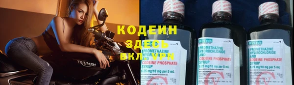 прущие крисы Ельня