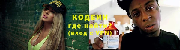 крисы Елабуга