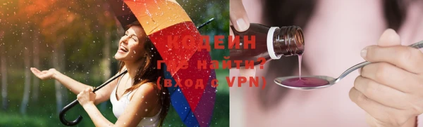 крисы Елабуга