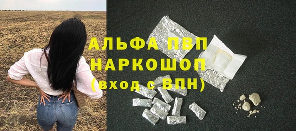 крисы Елабуга
