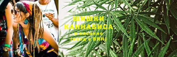 винт Елизово