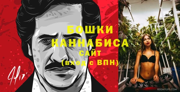 прущие крисы Ельня