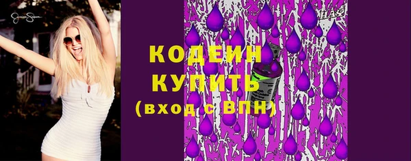 прущие крисы Ельня