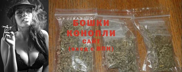 винт Елизово