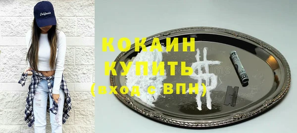 прущие крисы Ельня