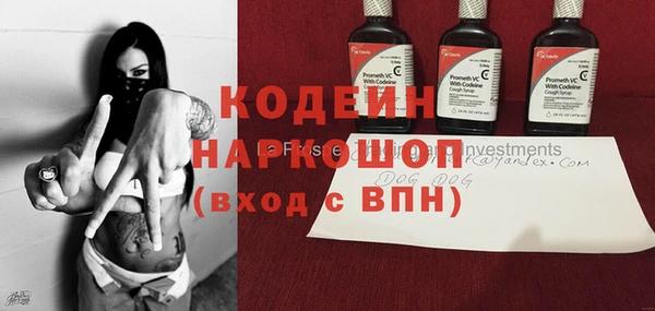 прущие крисы Ельня